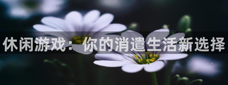 休闲游戏：你的消遣生活新选择