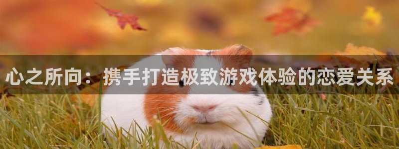 心之所向：携手打造极致游戏体验的恋爱关系