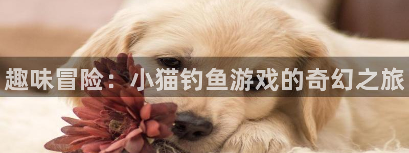 十大正规米乐棋牌平台：趣味冒险：小猫钓鱼游戏的奇幻之旅