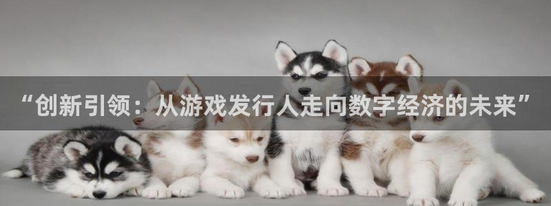 m6米乐vip：“创新引领：从游戏发行人走向数字经济的未来”