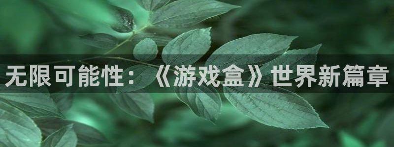 米乐m6甄选咪li：无限可能性：《游戏盒》世界新篇章
