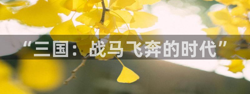 米乐m6平台买球：“三国：战马飞奔的时代”