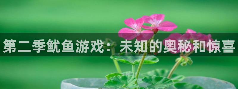 米乐M6iis：第二季鱿鱼游戏：未知的奥秘和惊喜